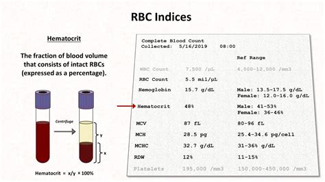 blood test shows sudden 25 drop in rbc hematocrit hemoglobin|Hematocrit Test: What It Is, Levels, High & Low Range.